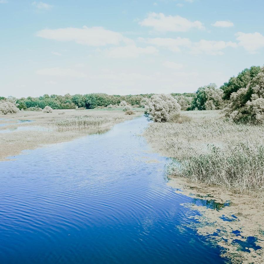 בית הארחה Vendeuvre-sur-Barse 	Le Val Suzenay מראה חיצוני תמונה